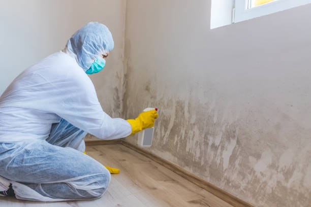 Licensed Bathroom Mold Removal service in Reading, PA - WQB Mold Removal