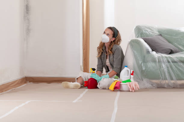 Reliable Bathroom Mold Removal contractor in Reading, PA by WQB Mold Removal