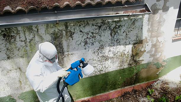 Top rated local Bathroom Mold Removal specialists in Reading, PA